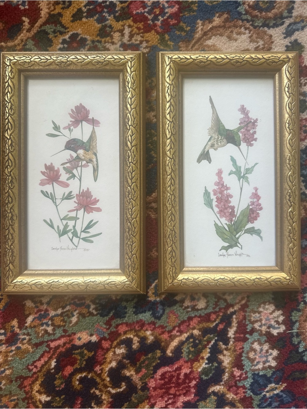 Vtg Watercolor 1992 Hummingbird Prints by Carolyn Wright